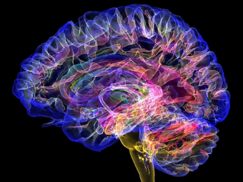 操操操的视频网站大脑植入物有助于严重头部损伤恢复